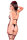 Body CR4317